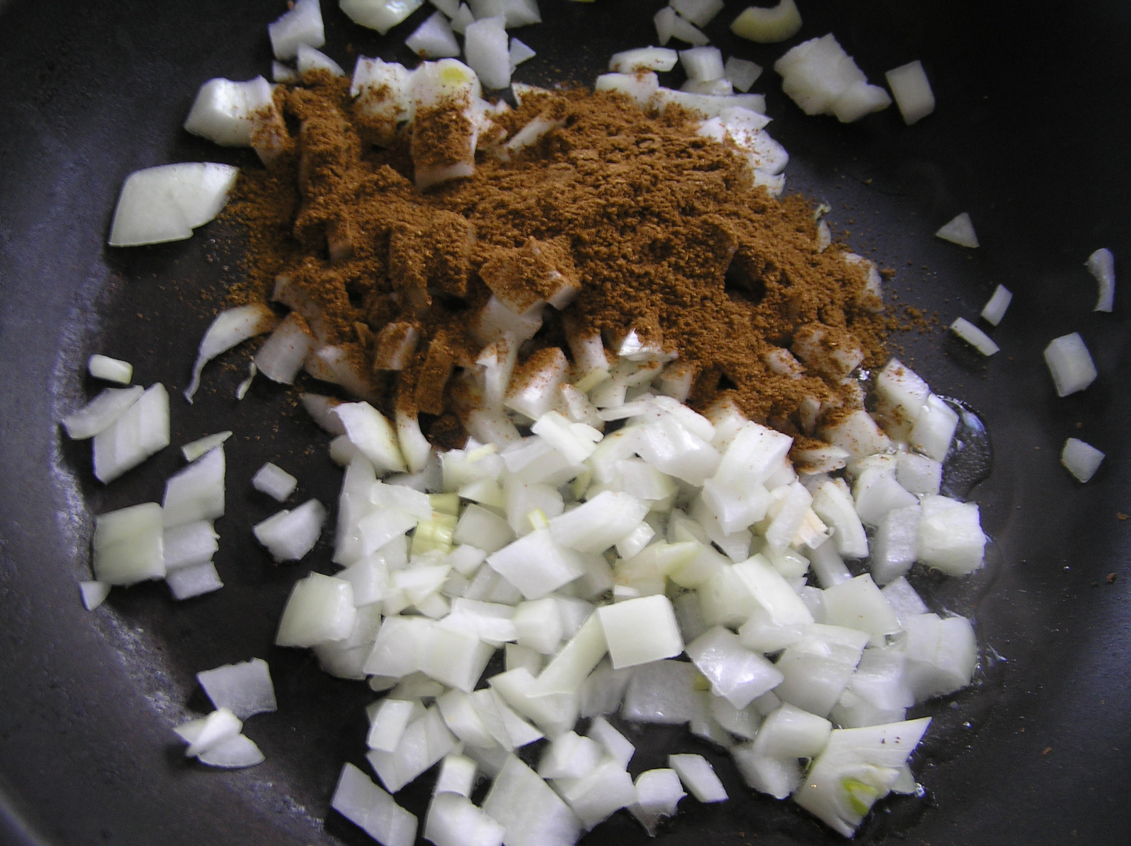 Easy Lamb and Yogurt Curry the zen of slow cooking